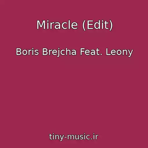کاور آهنگ Miracle (Edit) از Boris Brejcha Feat. Leony