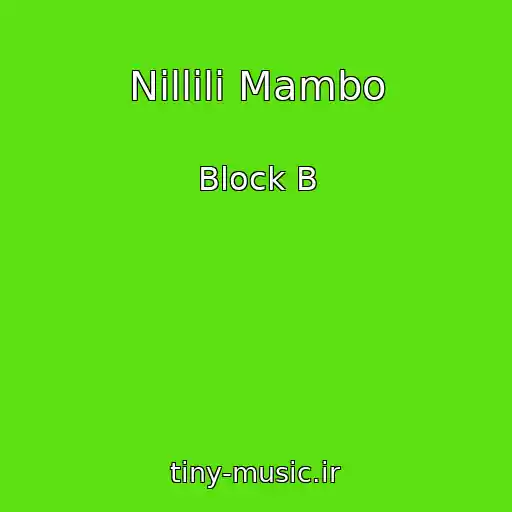 کاور آهنگ Nillili Mambo از Block B