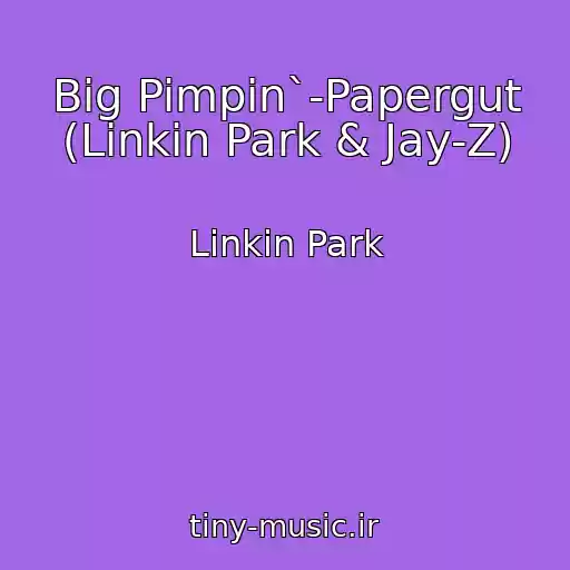 کاور آهنگ Big Pimpin`-Papergut (Linkin Park & Jay-Z) از Linkin Park