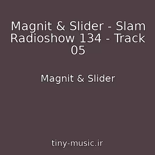 کاور آهنگ Magnit & Slider - Slam Radioshow 134 - Track 05 از Magnit & Slider
