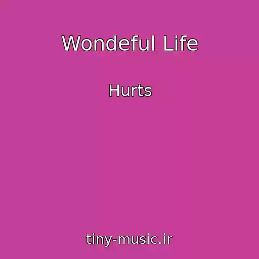 کاور آهنگ Wondeful Life از Hurts