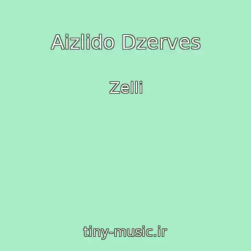کاور آهنگ Aizlido Dzerves از Zelli