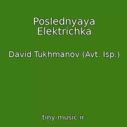 کاور آهنگ Poslednyaya Elektrichka از David Tukhmanov (Avt. Isp.)