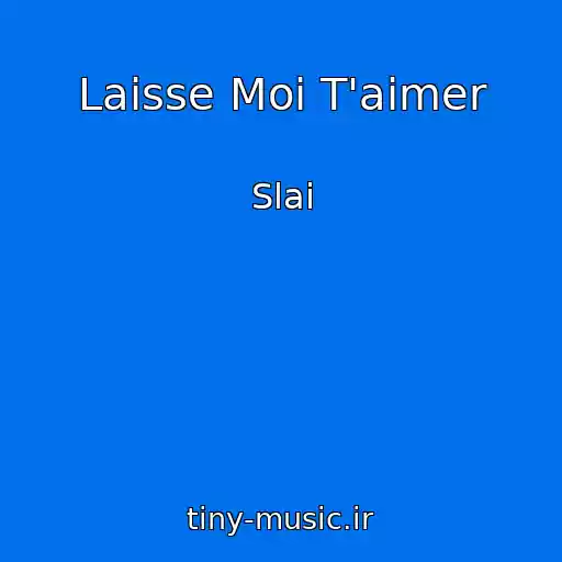 کاور آهنگ Laisse Moi T'aimer از Slai