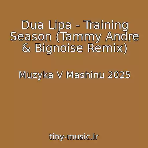 کاور آهنگ Dua Lipa - Training Season (Tammy Andre & Bignoise Remix) از Muzyka V Mashinu 2025