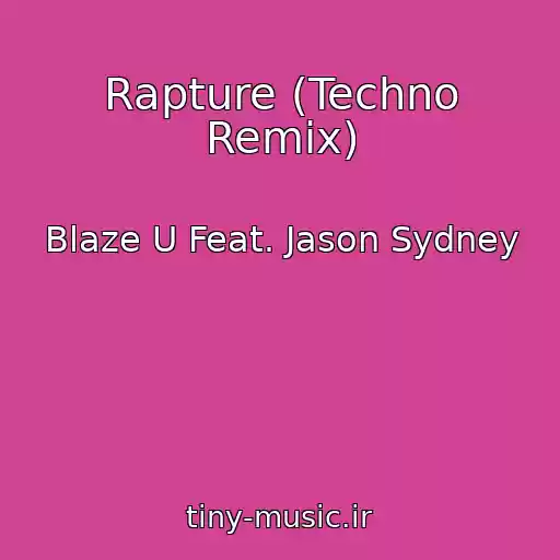 کاور آهنگ Rapture (Techno Remix) از Blaze U Feat. Jason Sydney