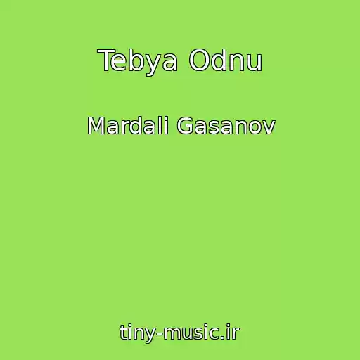 کاور آهنگ Tebya Odnu از Mardali Gasanov