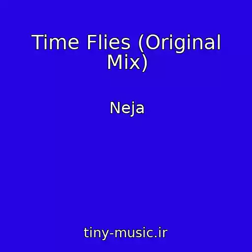 کاور آهنگ Time Flies (Original Mix) از Neja