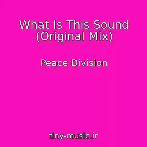 کاور آهنگ What Is This Sound (Original Mix) از Peace Division