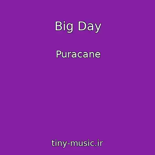 کاور آهنگ Big Day از Puracane