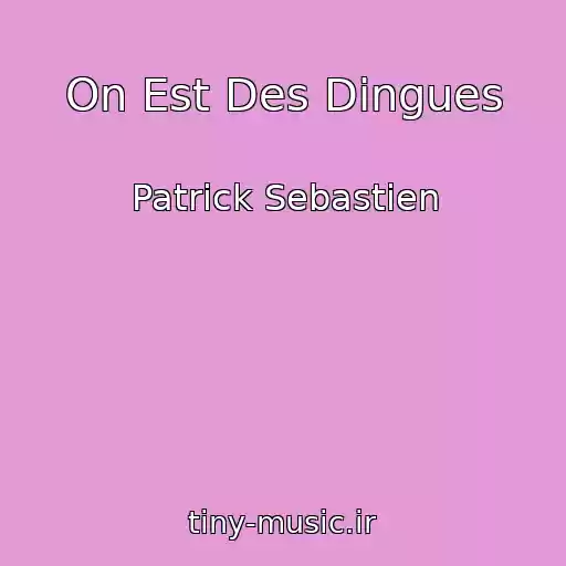 کاور آهنگ On Est Des Dingues از Patrick Sebastien