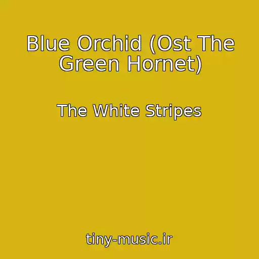 کاور آهنگ Blue Orchid (Ost The Green Hornet) از The White Stripes