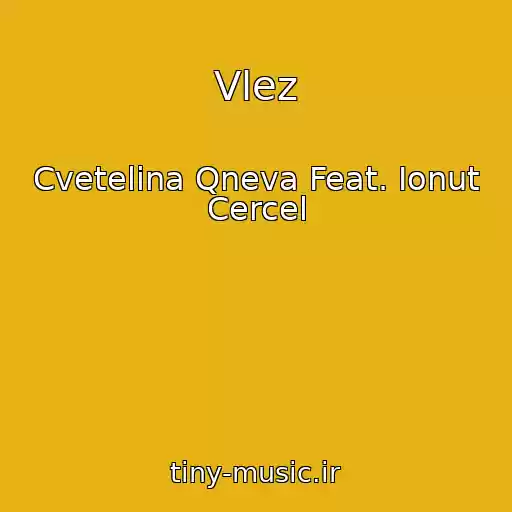 کاور آهنگ Vlez از Cvetelina Qneva Feat. Ionut Cercel