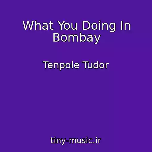 کاور آهنگ What You Doing In Bombay از Tenpole Tudor