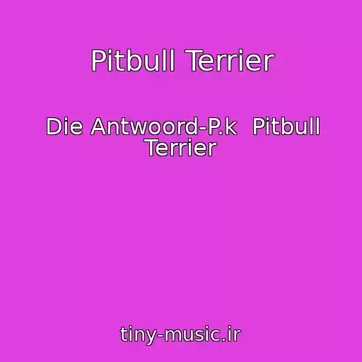 کاور آهنگ Pitbull Terrier از Die Antwoord-P.k  Pitbull Terrier