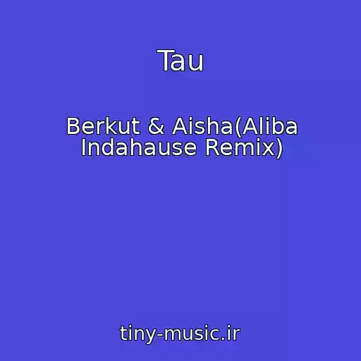 کاور آهنگ Tau از Berkut & Aisha(Aliba Indahause Remix)