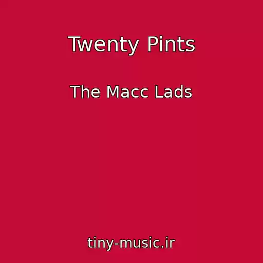 کاور آهنگ Twenty Pints از The Macc Lads