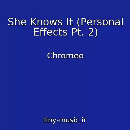 کاور آهنگ She Knows It (Personal Effects Pt. 2) از Chromeo