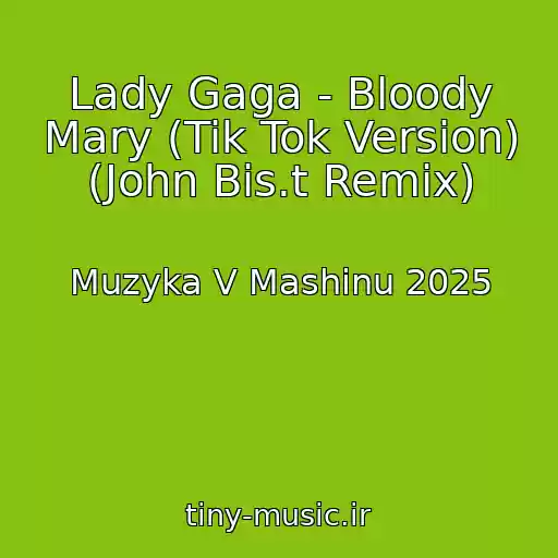 کاور آهنگ Lady Gaga - Bloody Mary (Tik Tok Version) (John Bis.t Remix) از Muzyka V Mashinu 2025