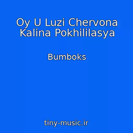 کاور آهنگ Oy U Luzі Chervona Kalina Pokhililasya از Bumboks