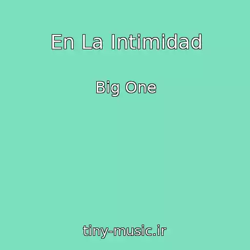 کاور آهنگ En La Intimidad از Big One