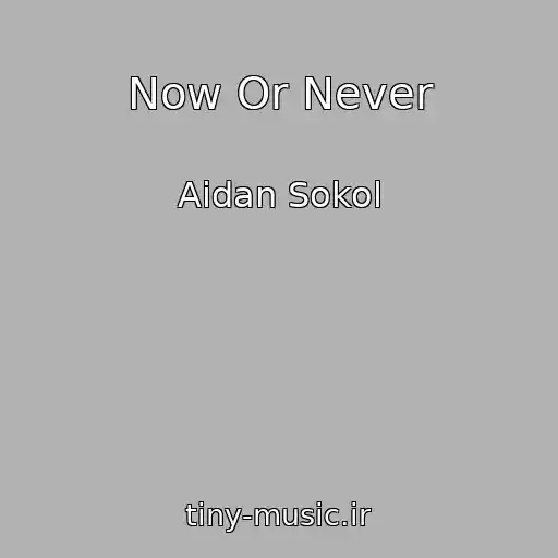 کاور آهنگ Now Or Never از Aidan Sokol