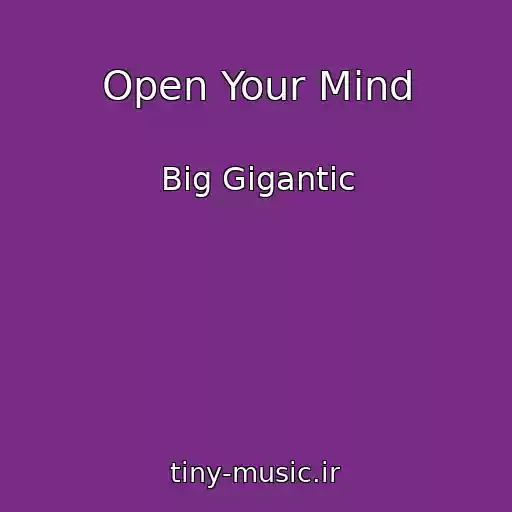 کاور آهنگ Open Your Mind از Big Gigantic