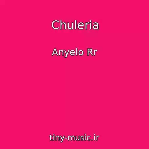 کاور آهنگ Chuleria از Anyelo Rr