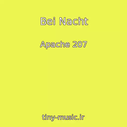 کاور آهنگ Bei Nacht از Apache 207