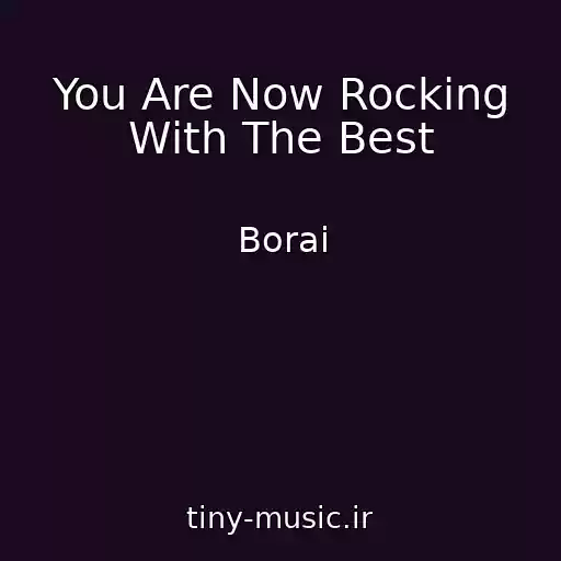 کاور آهنگ You Are Now Rocking With The Best از Borai