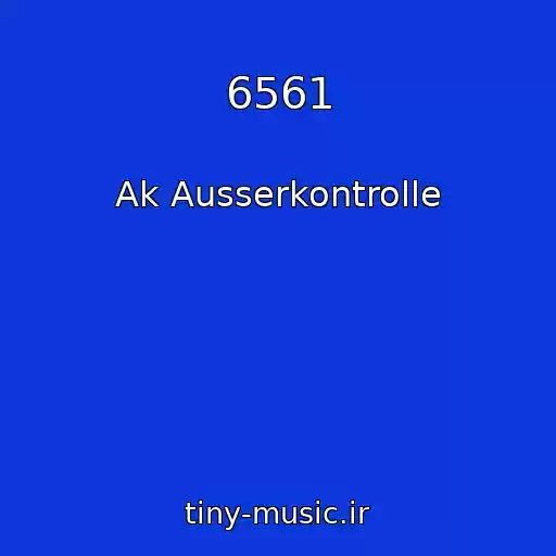 کاور آهنگ 6561 از Ak Ausserkontrolle