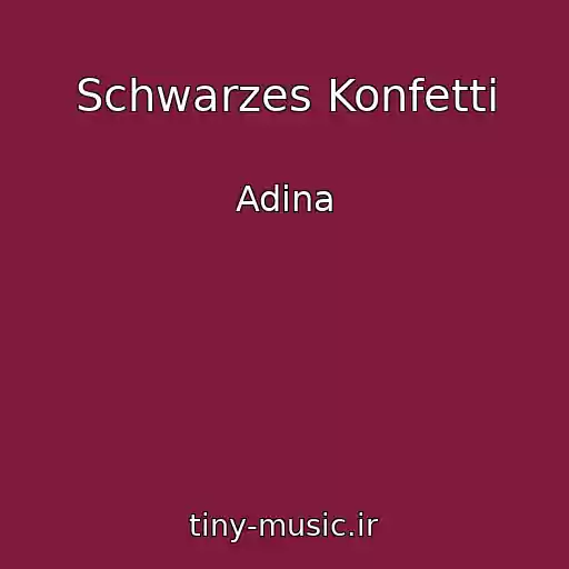 کاور آهنگ Schwarzes Konfetti از Adina