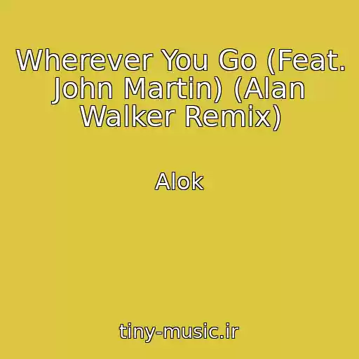 کاور آهنگ Wherever You Go (Feat. John Martin) (Alan Walker Remix) از Alok