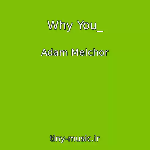 کاور آهنگ Why You_ از Adam Melchor