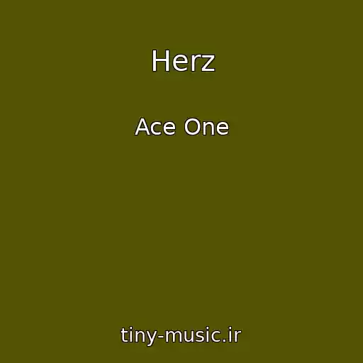 کاور آهنگ Herz از Ace One