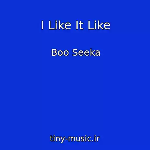 کاور آهنگ I Like It Like از Boo Seeka
