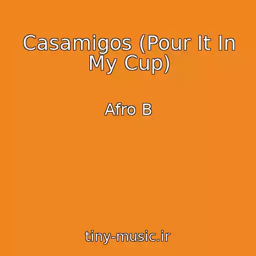 کاور آهنگ Casamigos (Pour It In My Cup) از Afro B
