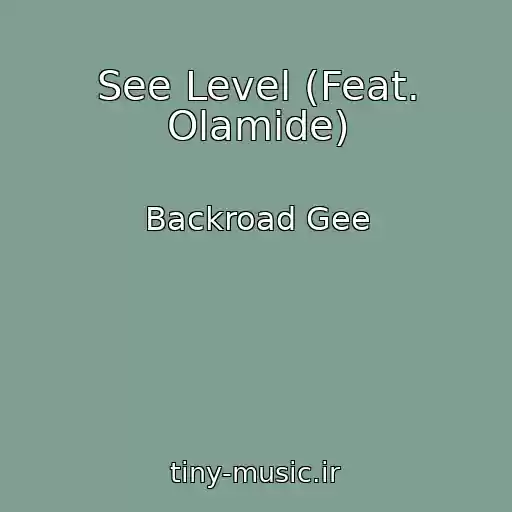 کاور آهنگ See Level (Feat. Olamide) از Backroad Gee