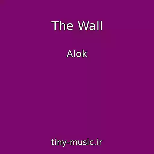 کاور آهنگ The Wall از Alok