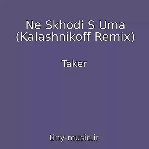 کاور آهنگ Ne Skhodi S Uma (Kalashnikoff Remix) از Taker
