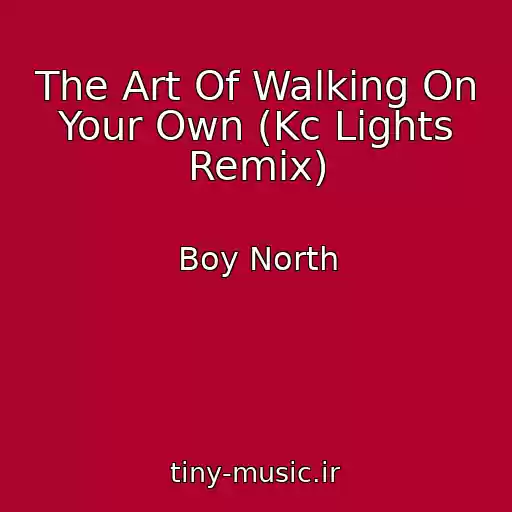 کاور آهنگ The Art Of Walking On Your Own (Kc Lights Remix) از Boy North