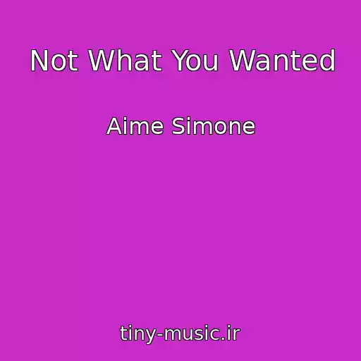کاور آهنگ Not What You Wanted از Aime Simone