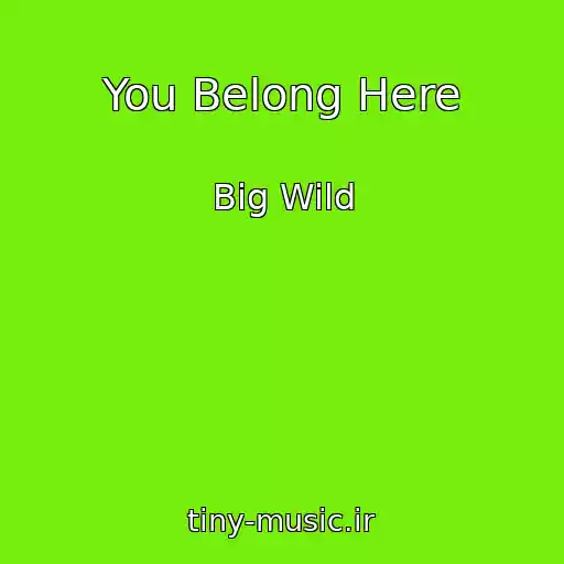 کاور آهنگ You Belong Here از Big Wild