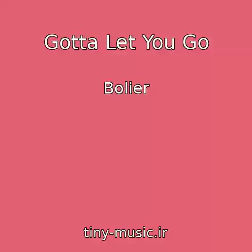 کاور آهنگ Gotta Let You Go از Bolier