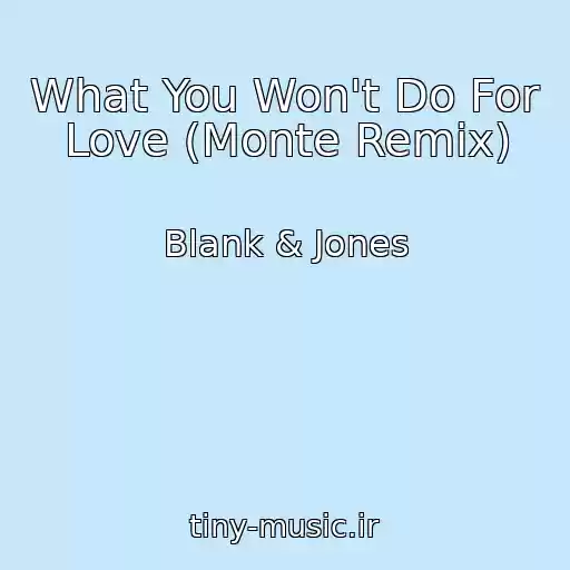 کاور آهنگ What You Won't Do For Love (Monte Remix) از Blank & Jones