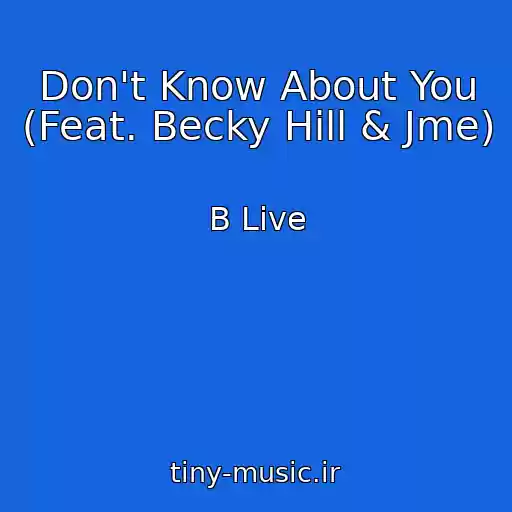 کاور آهنگ Don't Know About You (Feat. Becky Hill & Jme) از B Live