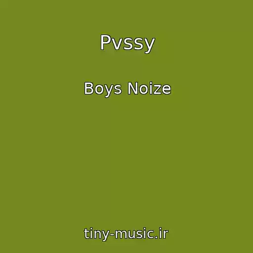کاور آهنگ Pvssy از Boys Noize