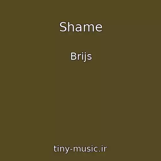 کاور آهنگ Shame از Brijs