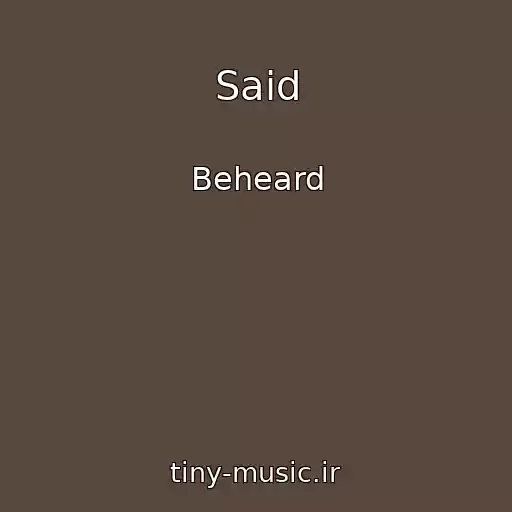 کاور آهنگ Said از Beheard