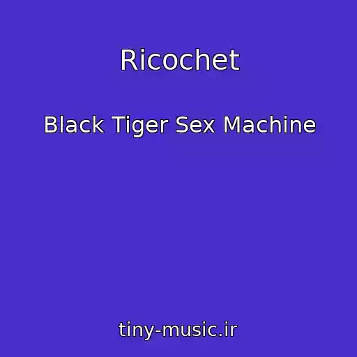کاور آهنگ Ricochet از Black Tiger Sex Machine